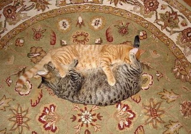 Daily picdump (182 pics)