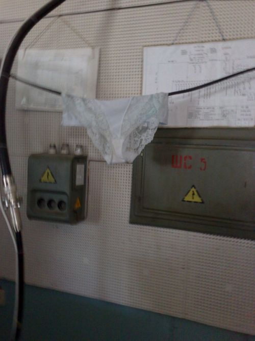 Daily picdump (182 pics)
