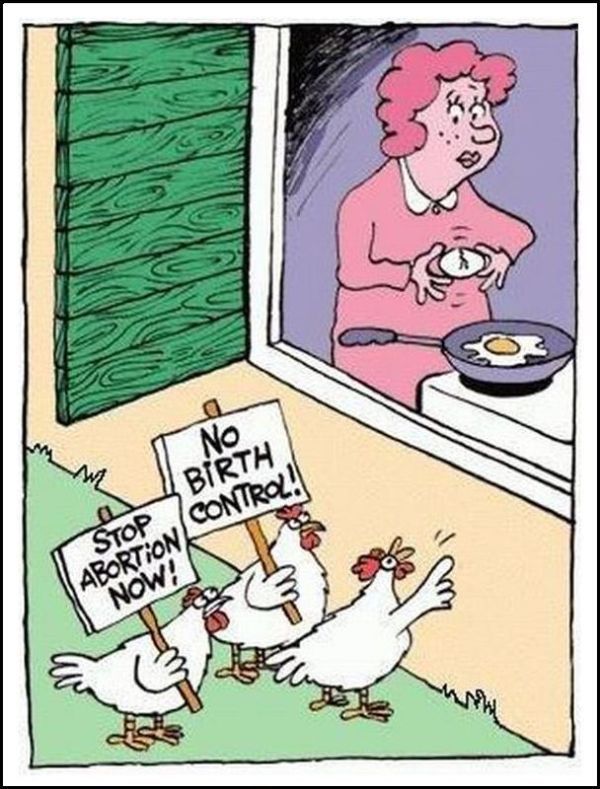 Daily picdump (182 pics)