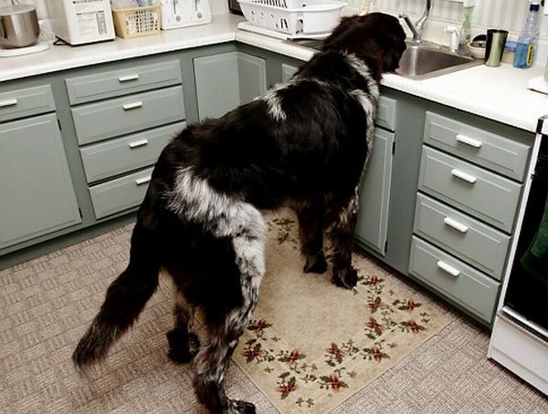 Daily picdump (182 pics)