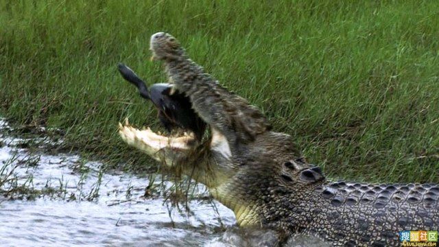 Daily picdump (182 pics)