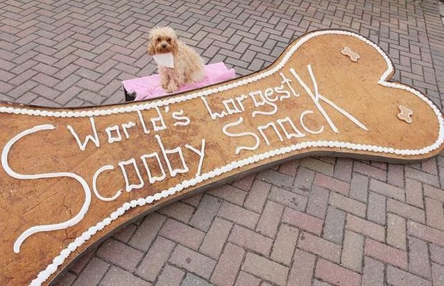 Daily picdump (182 pics)