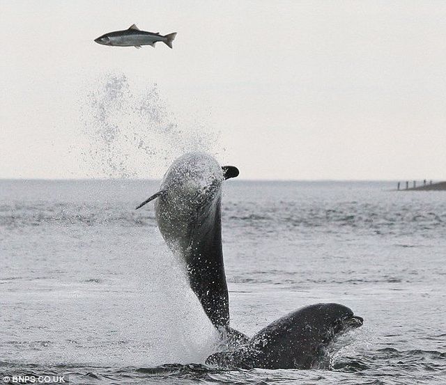 Daily picdump (182 pics)