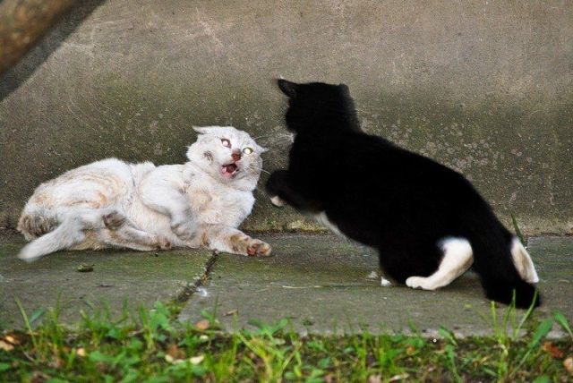 Daily picdump (182 pics)