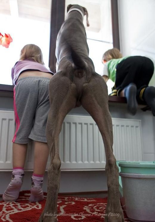 Daily picdump (182 pics)