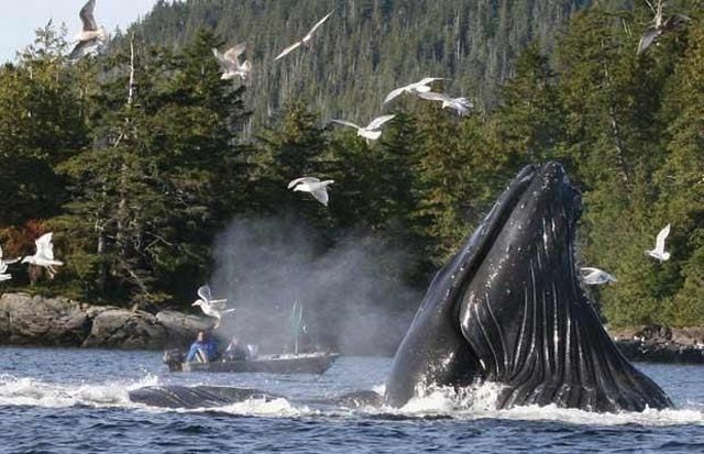 Daily picdump (182 pics)