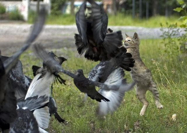 Daily picdump (182 pics)