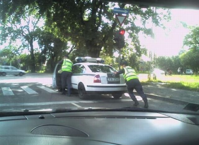 Daily picdump (182 pics)