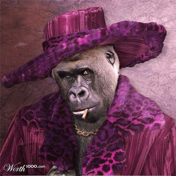 Daily picdump (182 pics)