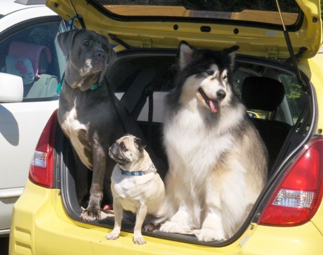 Daily picdump (182 pics)