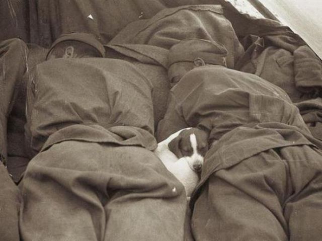 Daily picdump (182 pics)