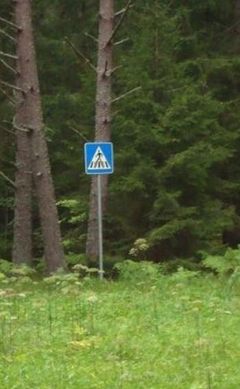 Daily picdump (182 pics)
