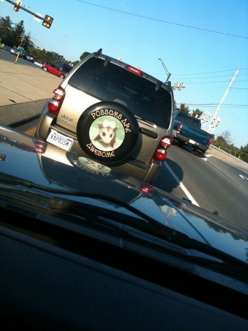 Daily picdump (182 pics)