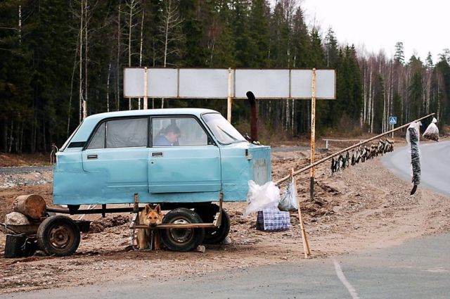 Daily picdump (182 pics)