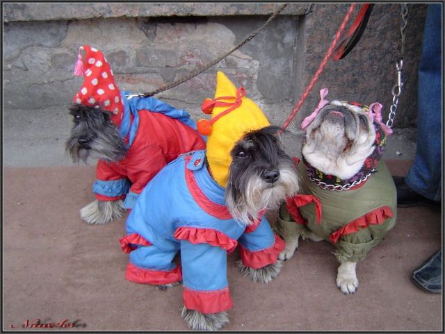 Daily picdump (182 pics)