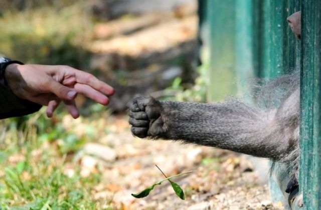 Daily picdump (182 pics)