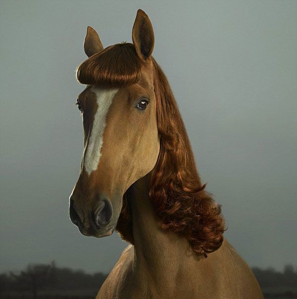 Daily picdump (182 pics)
