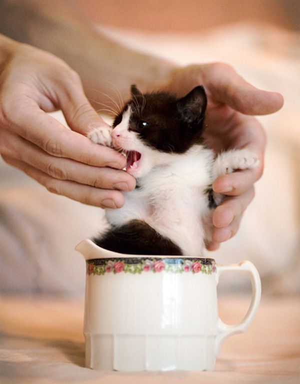 Daily picdump (182 pics)