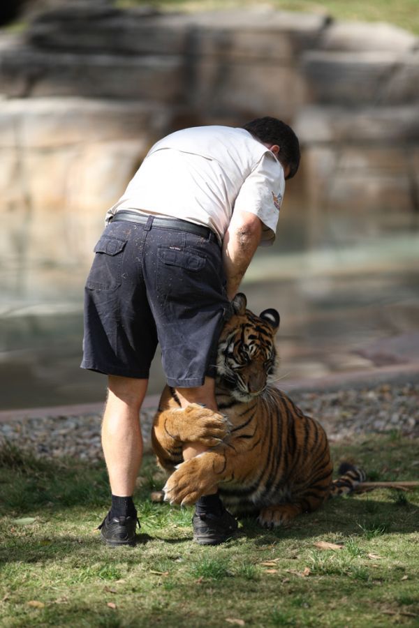 Daily picdump (182 pics)