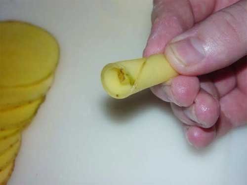Potato roses?! (12 pics)