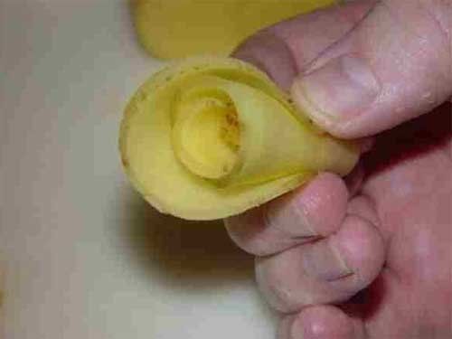 Potato roses?! (12 pics)