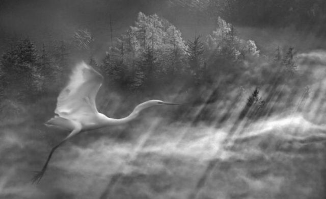 Beautiful landscapes from above (27 pics)