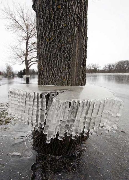 Daily picdump (130 pics)