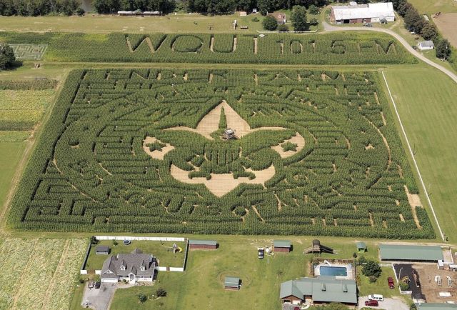 Daily picdump (130 pics)