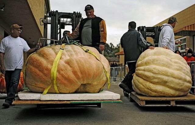 Daily picdump (130 pics)