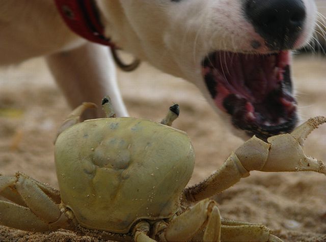 Daily picdump (130 pics)