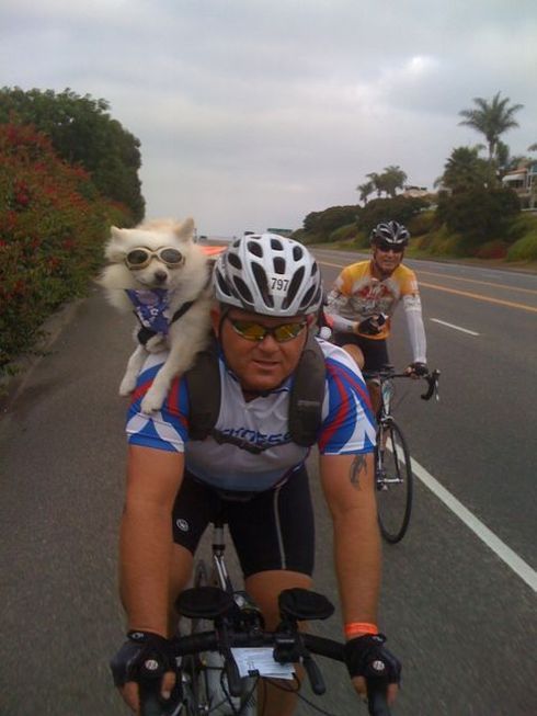 Daily picdump (130 pics)