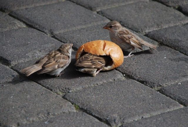 Daily picdump (130 pics)
