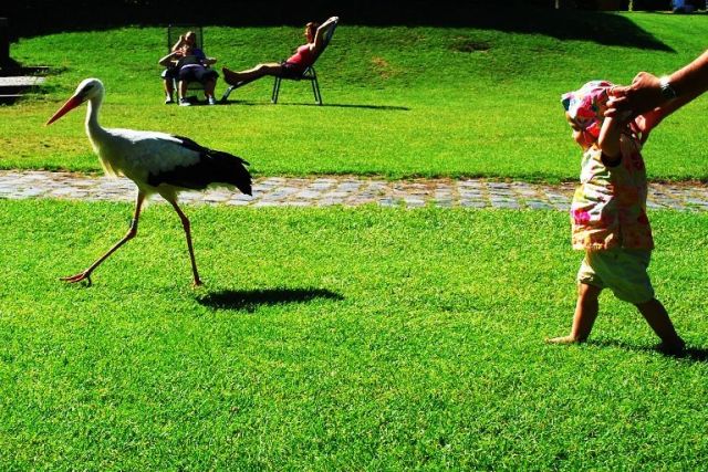 Daily picdump (130 pics)