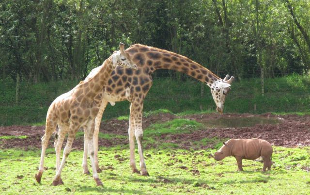 Daily picdump (130 pics)