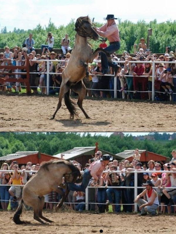 Daily picdump (130 pics)