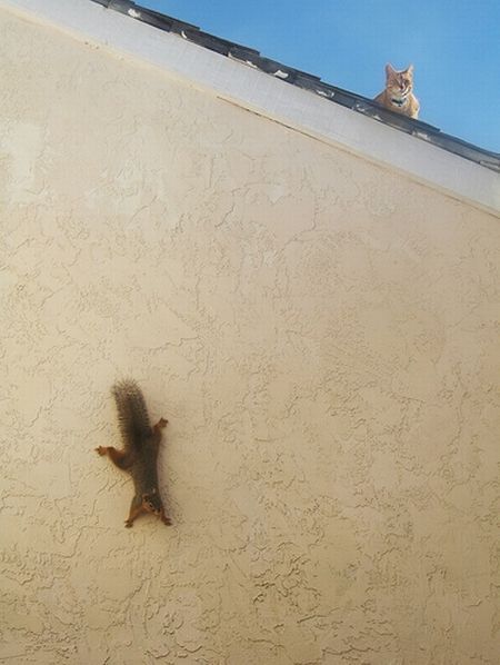 Daily picdump (130 pics)