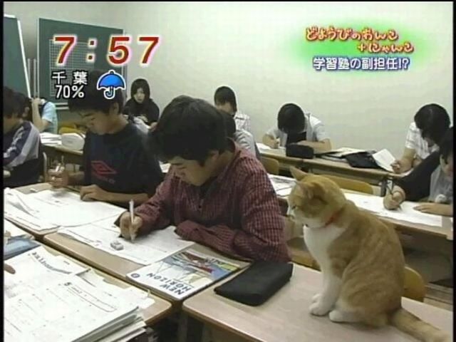 Daily picdump (130 pics)