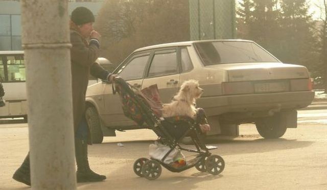 Daily picdump (130 pics)