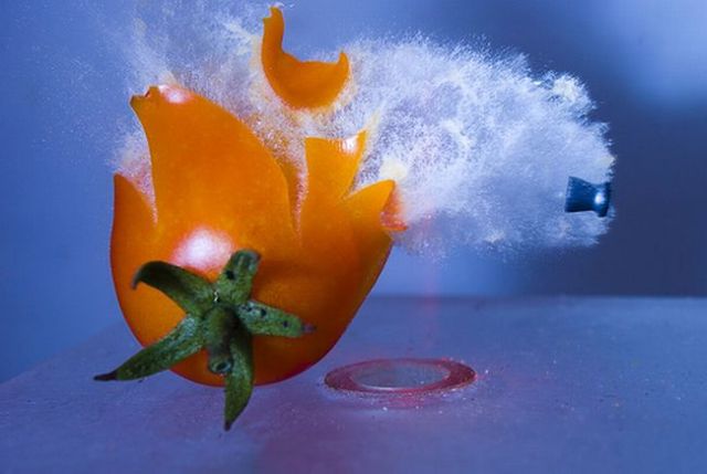 Incredible High-Speed photography by Alan Sailer (99 pics)
