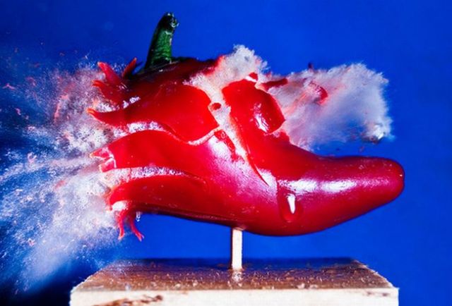 Incredible High-Speed photography by Alan Sailer (99 pics)