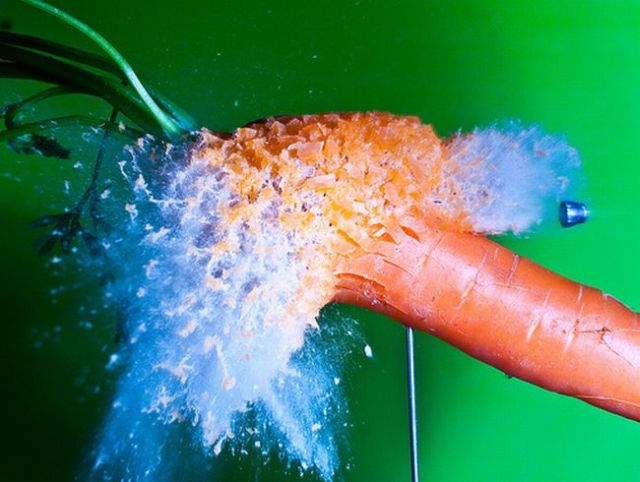 Incredible High-Speed photography by Alan Sailer (99 pics)