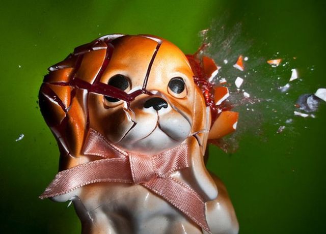 Incredible High-Speed photography by Alan Sailer (99 pics)
