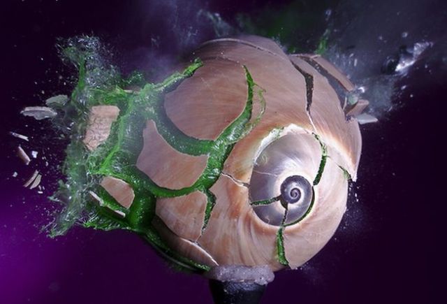 Incredible High-Speed photography by Alan Sailer (99 pics)