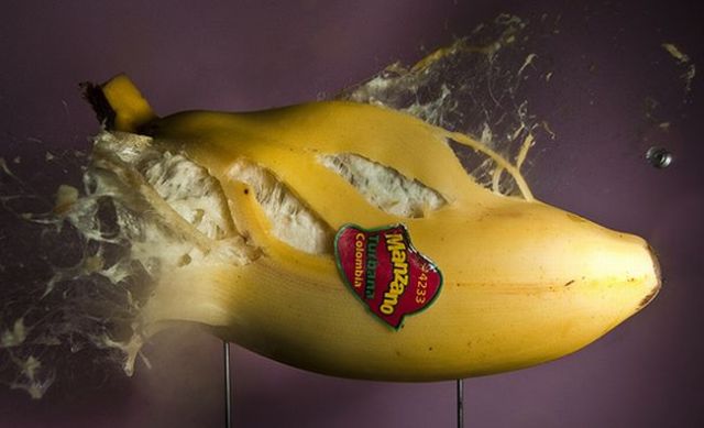 Incredible High-Speed photography by Alan Sailer (99 pics)
