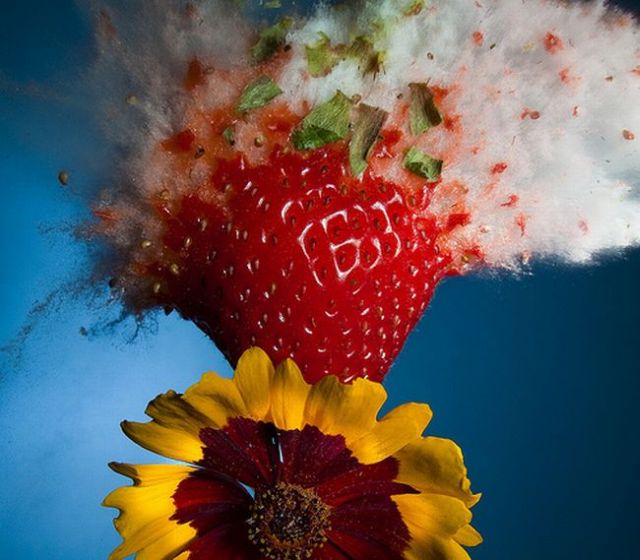 Incredible High-Speed photography by Alan Sailer (99 pics)
