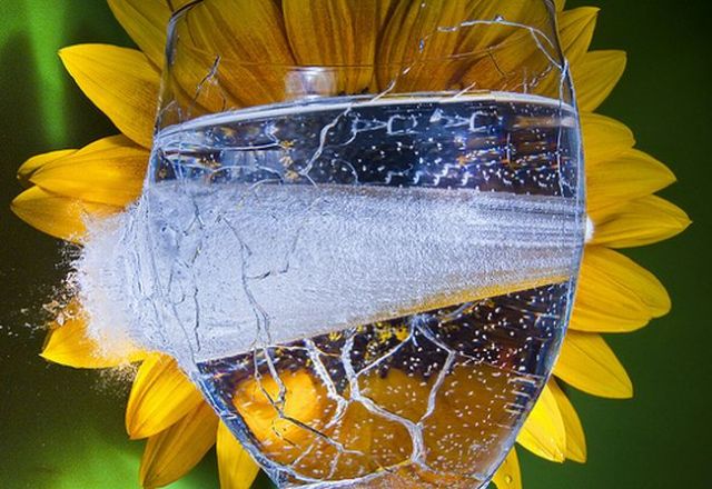 Incredible High-Speed photography by Alan Sailer (99 pics)