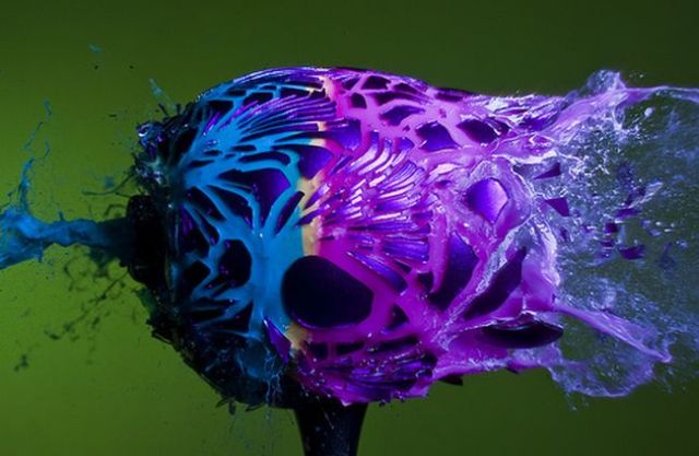 Incredible High-Speed photography by Alan Sailer (99 pics)