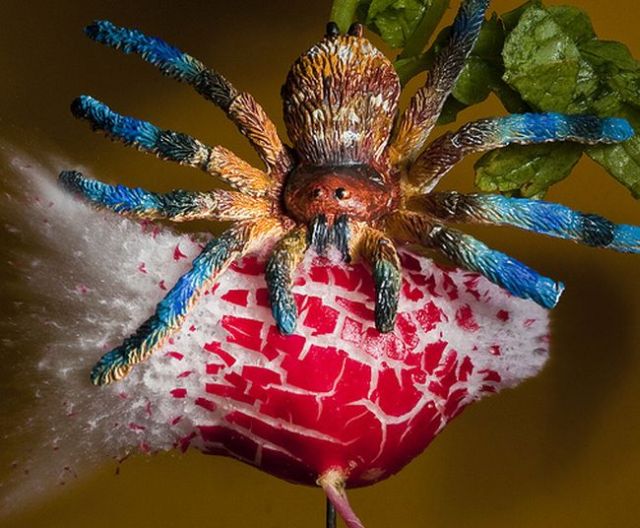 Incredible High-Speed photography by Alan Sailer (99 pics)