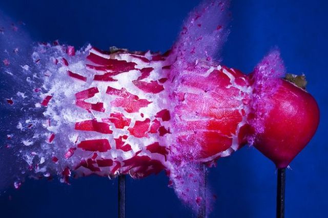 Incredible High-Speed photography by Alan Sailer (99 pics)