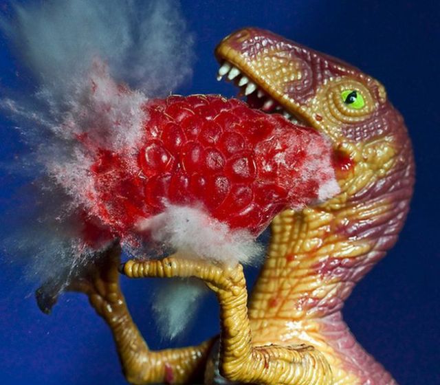 Incredible High-Speed photography by Alan Sailer (99 pics)